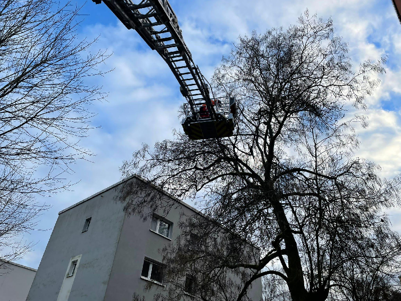 Hilfeleistung Hilfeleistung