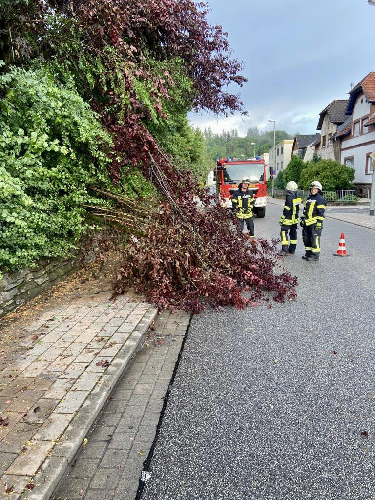 Hilfeleistung Hilfeleistung
